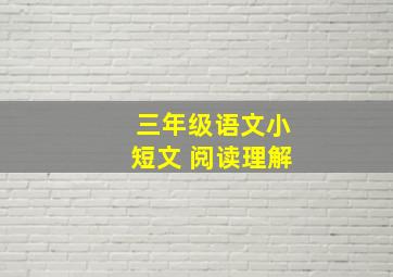 三年级语文小短文 阅读理解